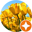 Santosh Gurav profile picture